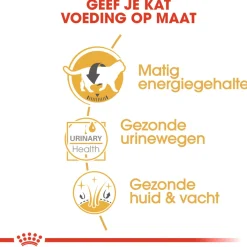 Royal Canin British Shorthair Adult Natvoer - Kattenvoer - 12x85 g