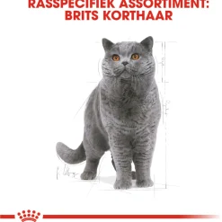 Royal Canin British Shorthair Adult - Kattenvoer