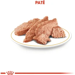 Royal Canin Chihuahua Adult Natvoer - Hondenvoer - 12x85 g