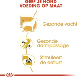 Royal Canin Chihuahua Adult Natvoer - Hondenvoer - 12x85 g