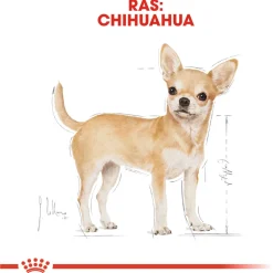 Royal Canin Chihuahua Adult Natvoer - Hondenvoer - 12x85 g