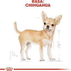 Royal Canin Chihuahua Adult - Hondenvoer