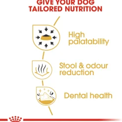 Royal Canin Chihuahua Adult - Hondenvoer