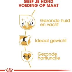 Royal Canin Cocker Adult - Hondenvoer