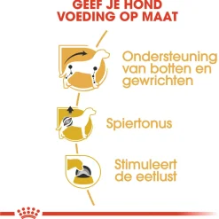 Royal Canin Dachshund Adult Natvoer - Hondenvoer - 12x85 g