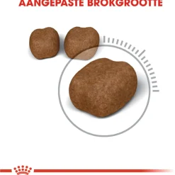 Royal Canin Dental Care - Kattenvoer