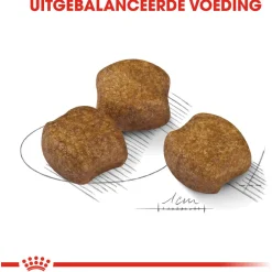 Royal Canin Dental Care Medium - Hondenvoer