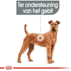 Royal Canin Dental Care Medium - Hondenvoer
