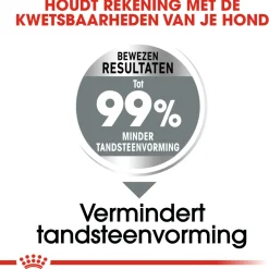 Royal Canin Dental Care Medium - Hondenvoer