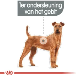 Royal Canin Dental Care Medium - Hondenvoer