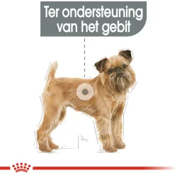 Royal Canin Dental Care Mini - Hondenvoer