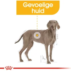 Royal Canin Dermacomfort Maxi - Hondenvoer