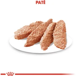 Royal Canin Dermacomfort Natvoer - Hondenvoer - 12x85 g