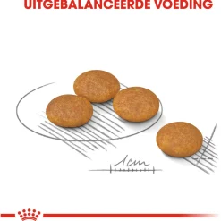 Royal Canin Dermacomfort Mini - Hondenvoer