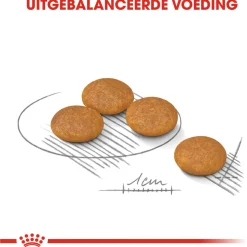 Royal Canin Dermacomfort Mini - Hondenvoer