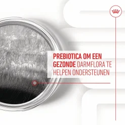 Royal Canin Digestion Chews - Hondensnacks - 160 g