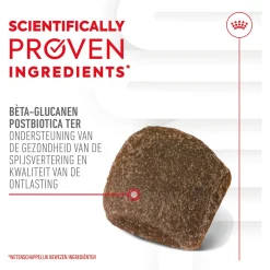 Royal Canin Digestion Chews - Hondensnacks - 160 g