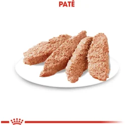 Royal Canin Digestive Care Natvoer - Hondenvoer - 12x85 g