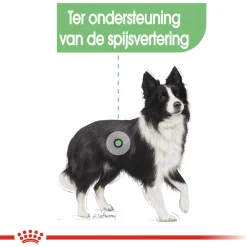 Royal Canin Digestive Care Medium - Hondenvoer