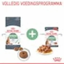 Royal Canin Digestive Care - Kattenvoer