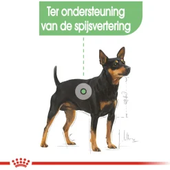 Royal Canin Digestive Care Mini - Hondenvoer