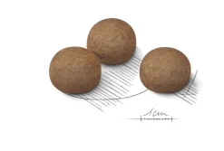 Royal Canin Digestive Care Maxi - Hondenvoer - 12 kg