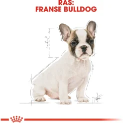 Royal Canin French Bulldog - Puppy-Hondenvoer