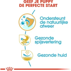 Royal Canin French Bulldog - Puppy-Hondenvoer