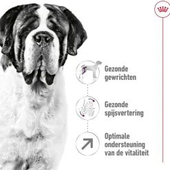 Royal Canin Giant Adult - Hondenvoer