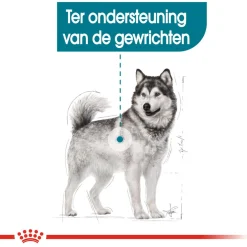 Royal Canin Joint Care Maxi - Hondenvoer - 10 kg