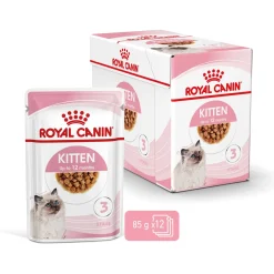 Royal Canin Kitten - In Gravy - Kitten-Kattenvoer - 12x85 g Bonuspack
