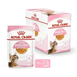 Royal Canin Kitten Sterilised Jelly - Kitten-Kattenvoer - 12x85 g