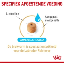 Royal Canin Labrador Retriever Adult 5+ - Hondenvoer