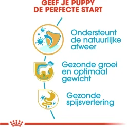 Royal Canin Labrador Retriever - Puppy-Hondenvoer
