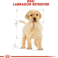 Royal Canin Labrador Retriever - Puppy-Hondenvoer