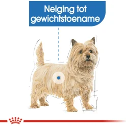 Royal Canin Light Weight Care Mini - Hondenvoer