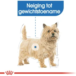 Royal Canin Light Weight Care Mini - Hondenvoer
