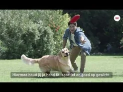 Royal Canin Light Weight Care Mini - Hondenvoer