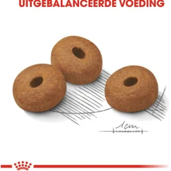 Royal Canin Light Weight Care Maxi - Hondenvoer