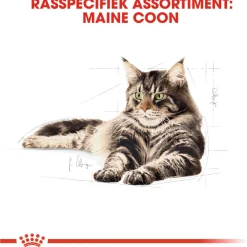 Royal Canin Maine Coon Adult Natvoer - Kattenvoer - 12x85 g
