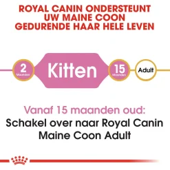Royal Canin Maine Coon Kitten - Kitten-Kattenvoer