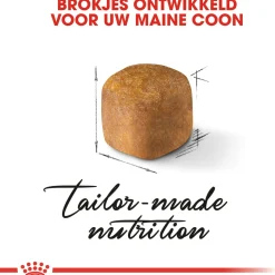 Royal Canin Maine Coon Kitten - Kitten-Kattenvoer