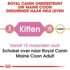Royal Canin Maine Coon Kitten - Kitten-Kattenvoer