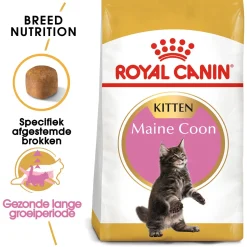 Royal Canin Maine Coon Kitten - Kitten-Kattenvoer
