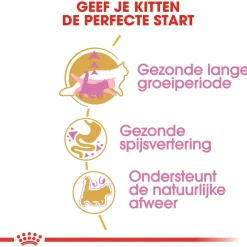 Royal Canin Maine Coon Kitten - Kitten-Kattenvoer