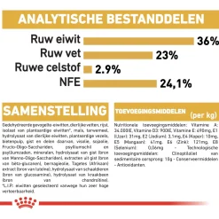 Royal Canin Maine Coon Kitten - Kitten-Kattenvoer