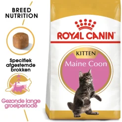 Royal Canin Maine Coon Kitten - Kitten-Kattenvoer