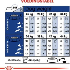 Royal Canin Maxi Ageing 8+ - Hondenvoer