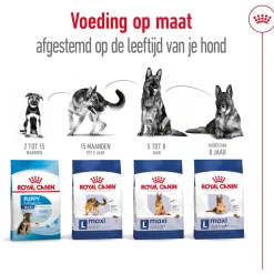 Royal Canin Maxi Ageing 8+ - Hondenvoer
