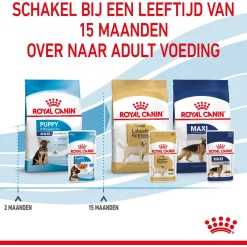 Royal Canin Maxi Natvoer - Puppy-Hondenvoer - 10x140 g